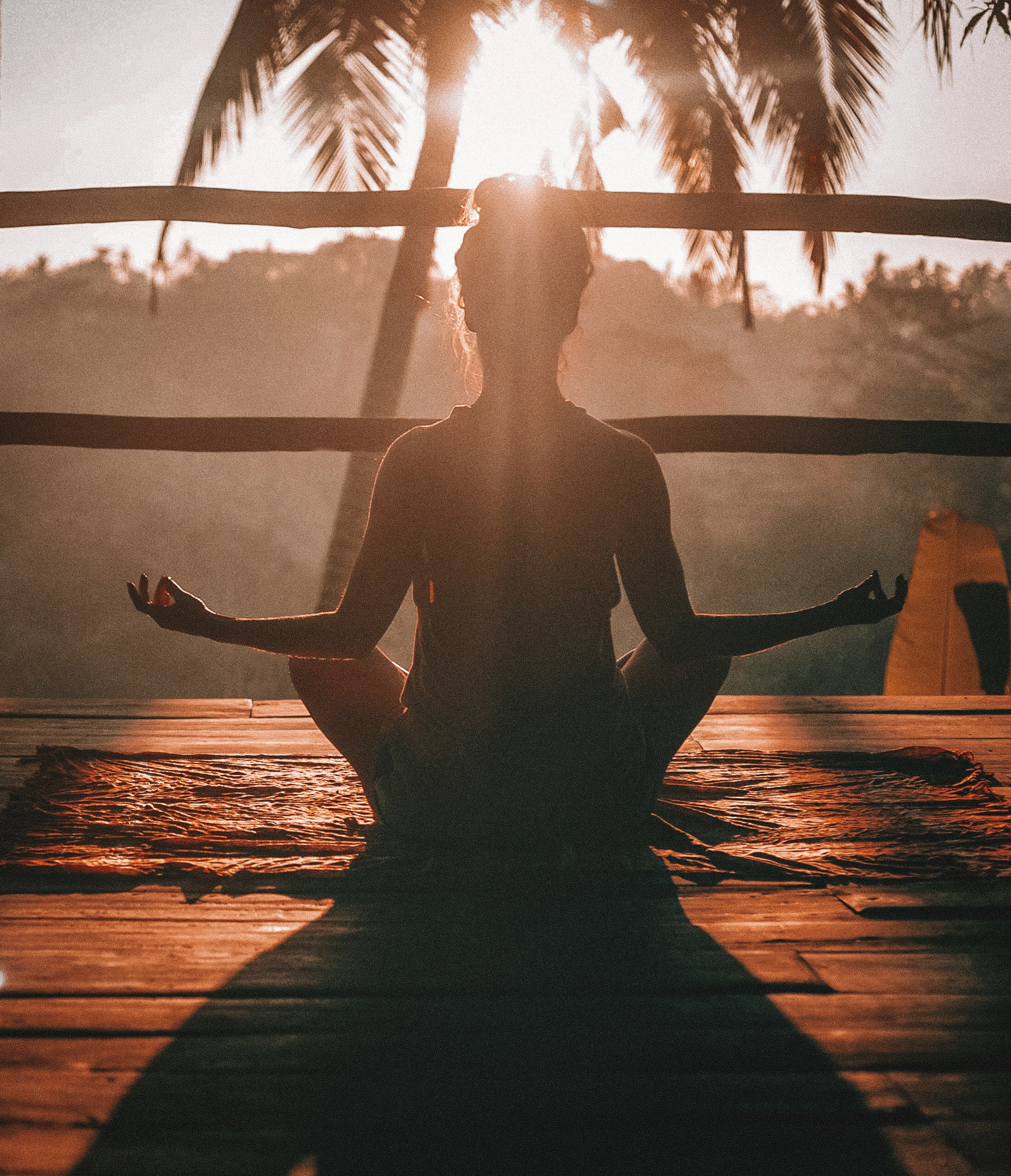 Silhouette of a woman meditating at golden hour beneath palm trees